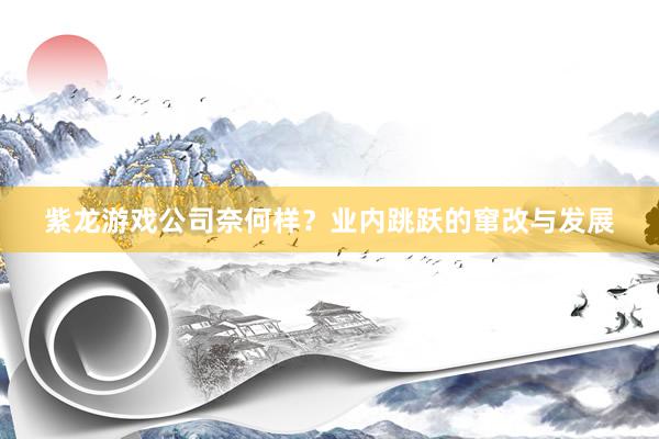 紫龙游戏公司奈何样？业内跳跃的窜改与发展
