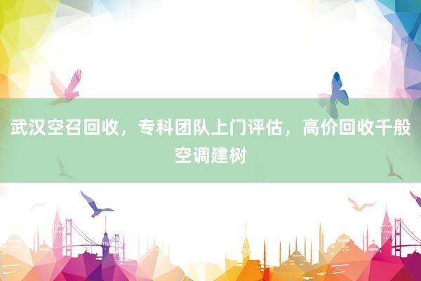 武汉空召回收，专科团队上门评估，高价回收千般空调建树
