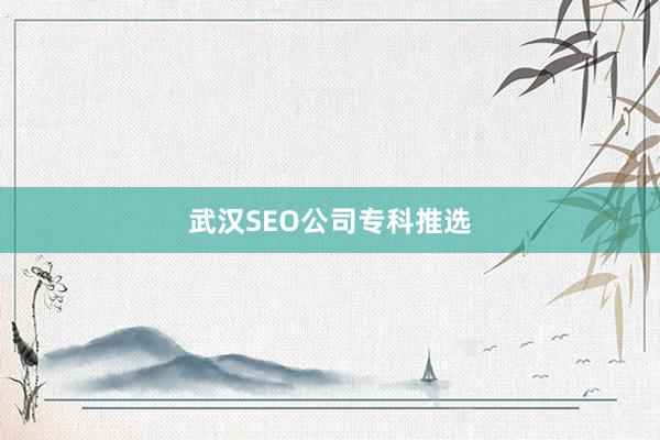 武汉SEO公司专科推选