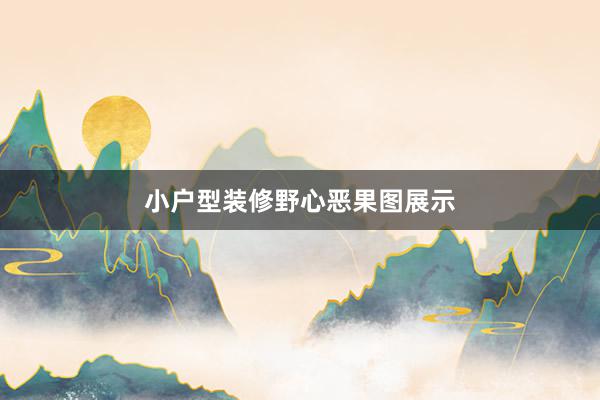 小户型装修野心恶果图展示