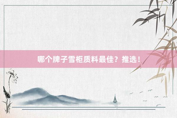 哪个牌子雪柜质料最佳？推选！