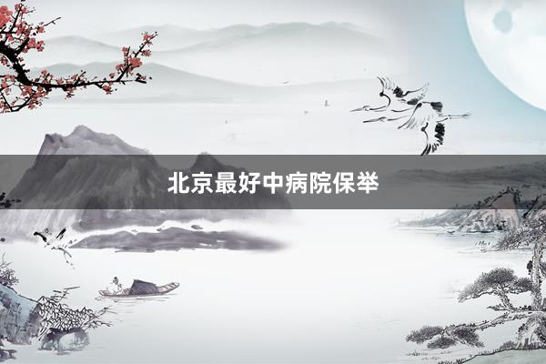北京最好中病院保举