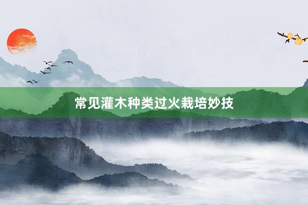 常见灌木种类过火栽培妙技